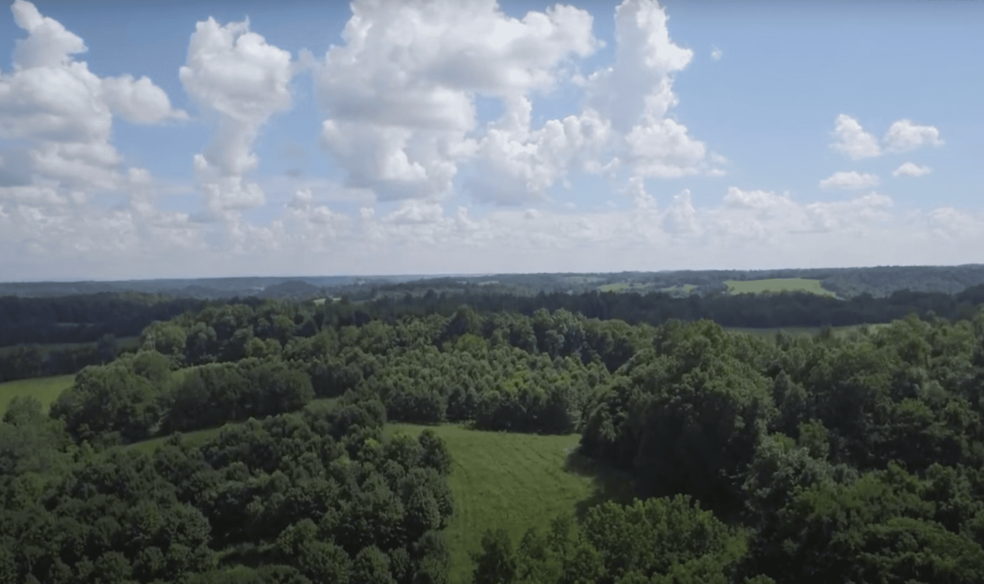 Landscape of blue skies and green trees