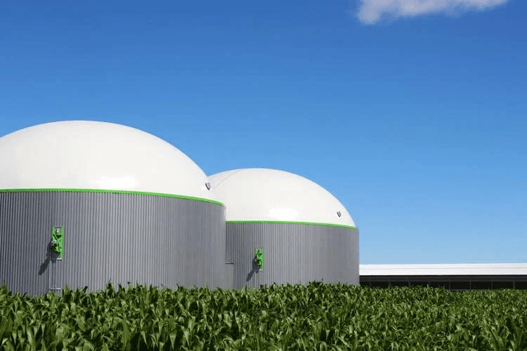 Field of crops and crop storage
