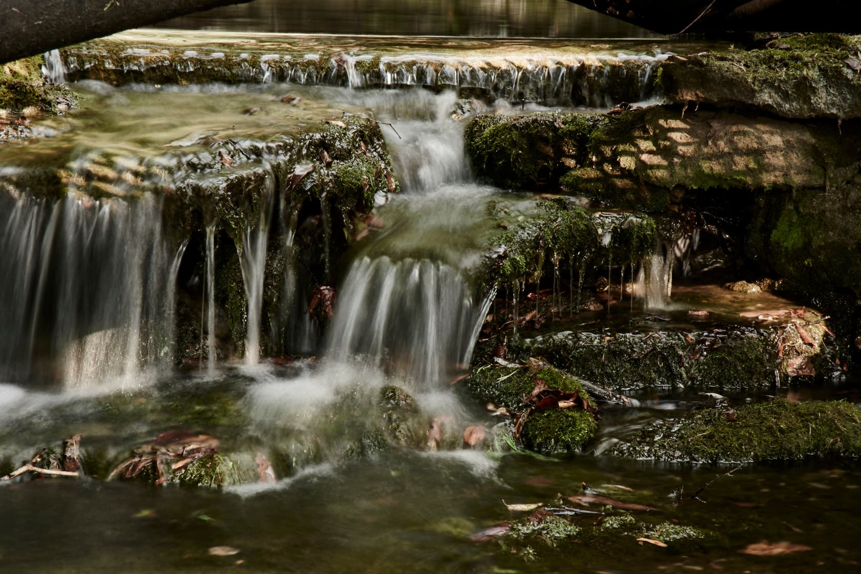 small waterfall on mossy rock