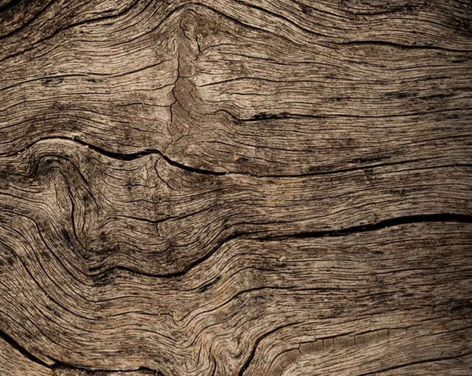 Image of old growth wood