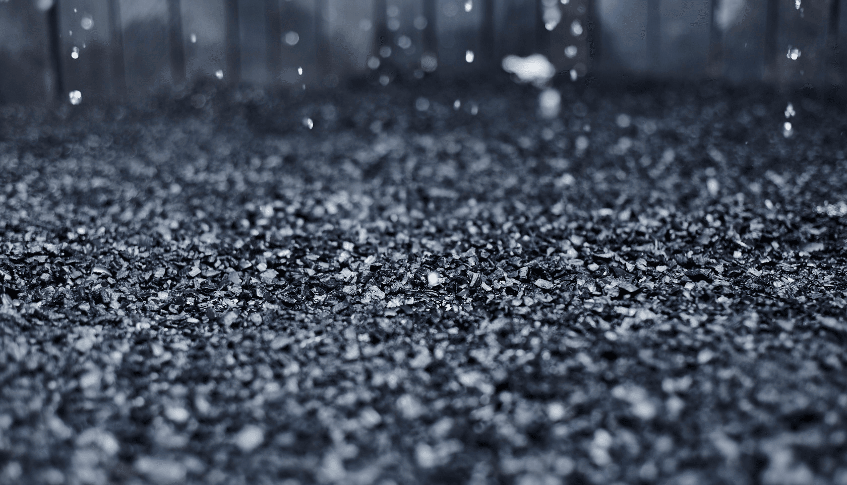 Sugar maple charcoal