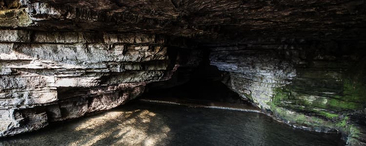 Cave Spring Hollow