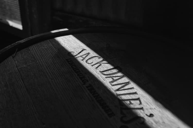 Wake Up With Jack Experience